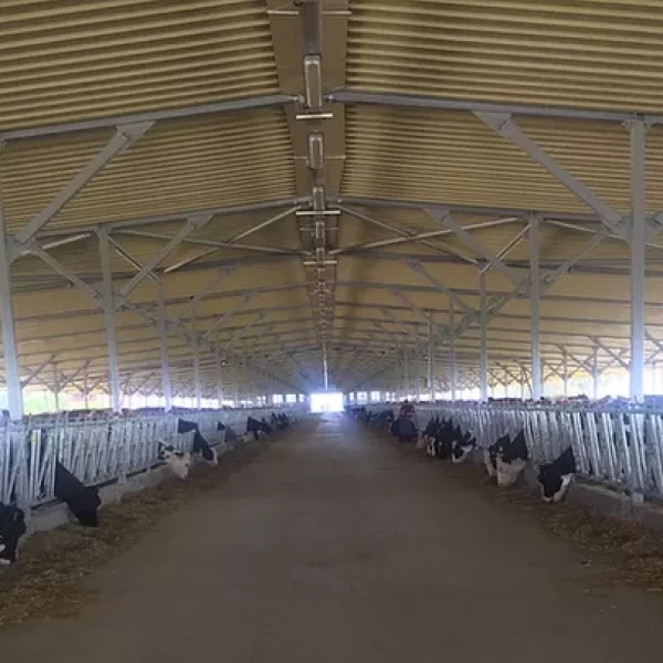 INDUSTRIAL STEEL PROJECTS - OSMACOM- Milky Dairy Farm